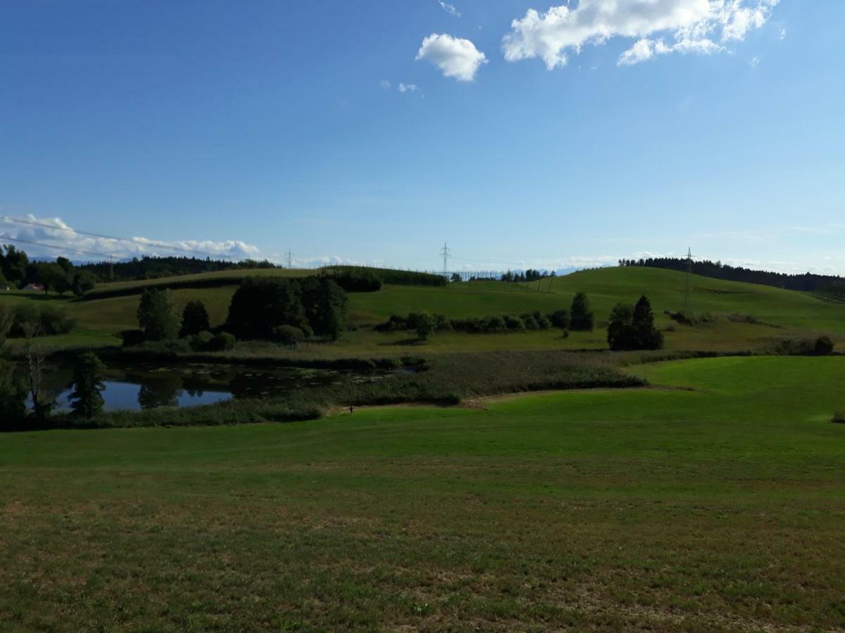 Schoene Einzimmer Wohnung Zwischen Bodensee Und Allgaeu Neukirch  Extérieur photo