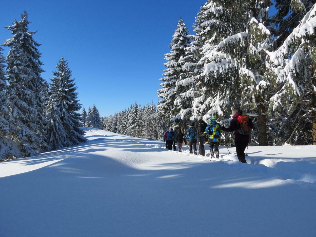 Schoene Einzimmer Wohnung Zwischen Bodensee Und Allgaeu Neukirch  Extérieur photo